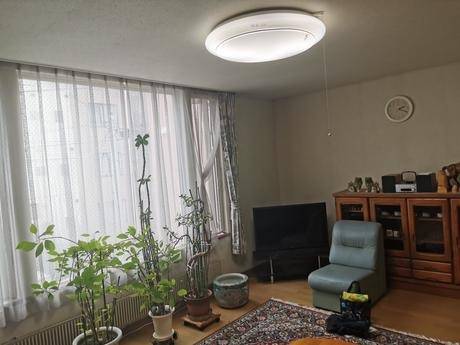 コーディネート前のお写真